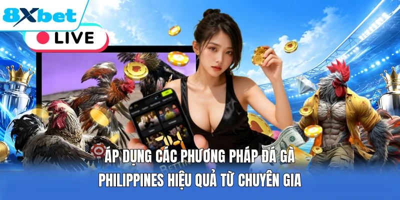 Áp dụng các phương pháp đá gà Philippines hiệu quả từ chuyên gia