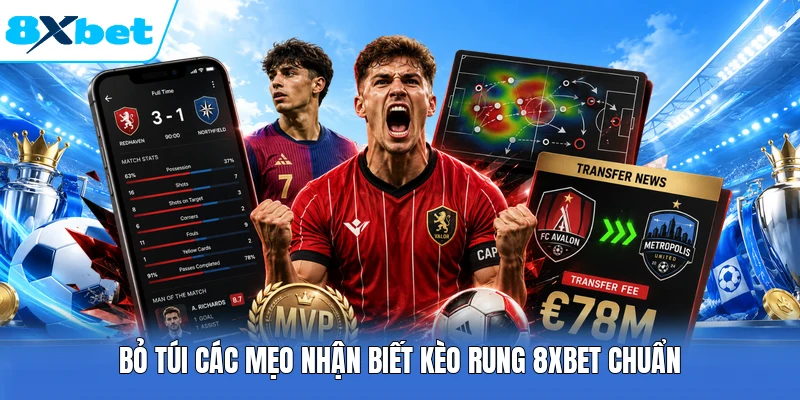 Bỏ túi các mẹo nhận biết kèo rung 8XBET chuẩn