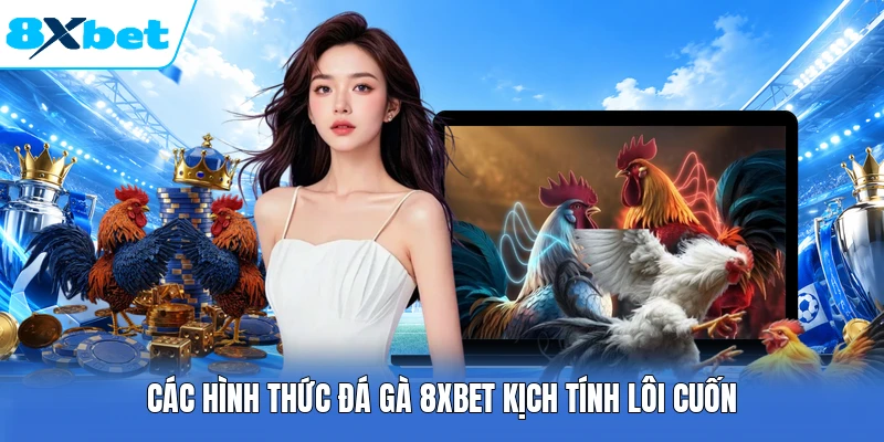 Các hình thức đá gà 8XBET kịch tính lôi cuốn