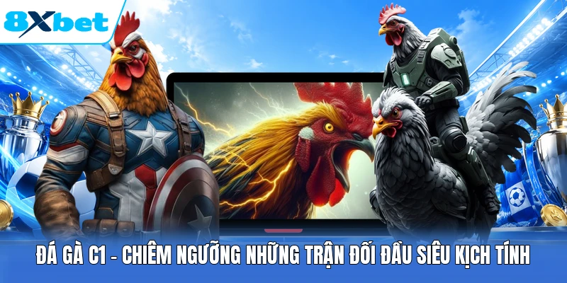 Đá Gà C1 - Chiêm Ngưỡng Những Trận Đối Đầu Siêu Kịch Tính