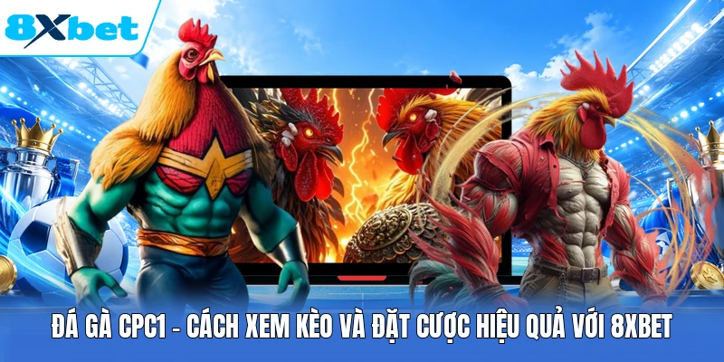 Đá Gà CPC1 - Cách Xem Kèo Và Đặt Cược Hiệu Quả Với 8XBET