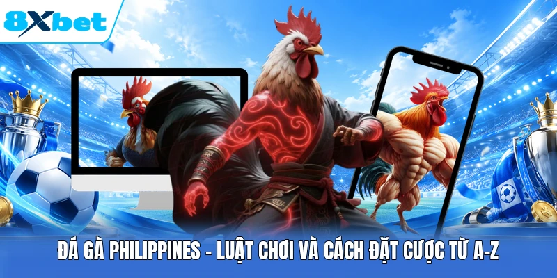 Đá Gà Philippines - Luật Chơi Và Cách Đặt Cược Từ A-Z