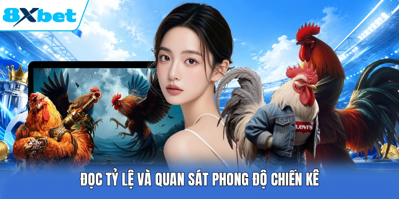 Đọc tỷ lệ và quan sát phong độ chiến kê