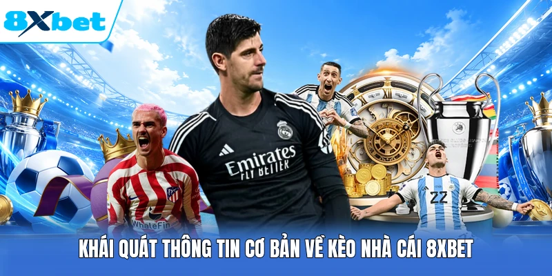 Khái quát thông tin cơ bản về kèo nhà cái 8XBET