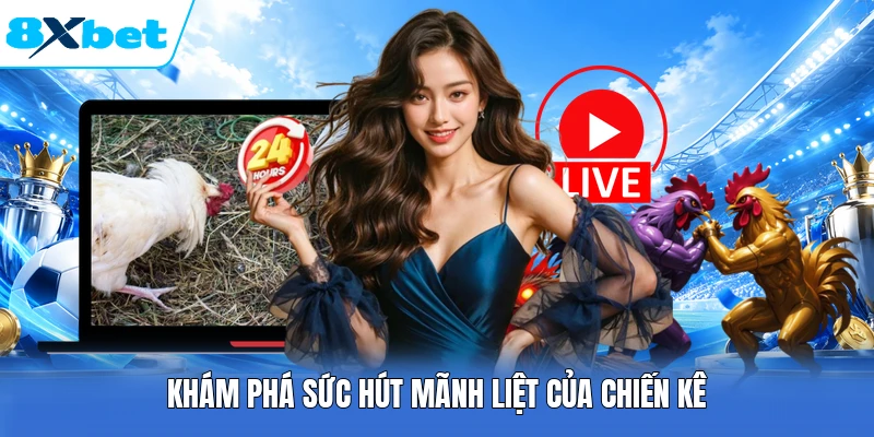 Khám phá sức hút mãnh liệt của chiến kê