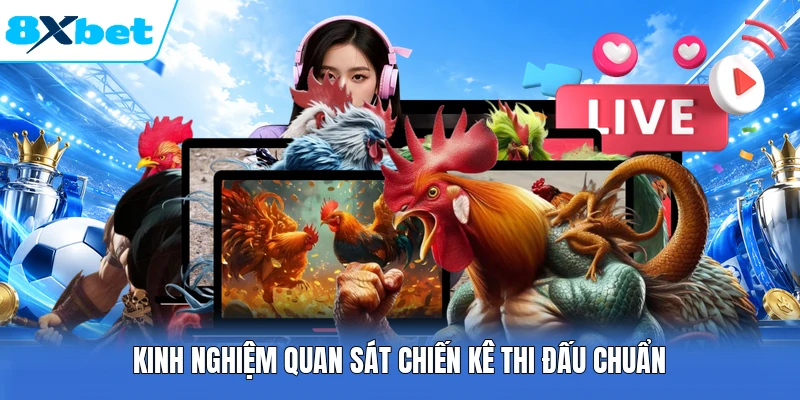 Kinh nghiệm quan sát chiến kê thi đấu chuẩn