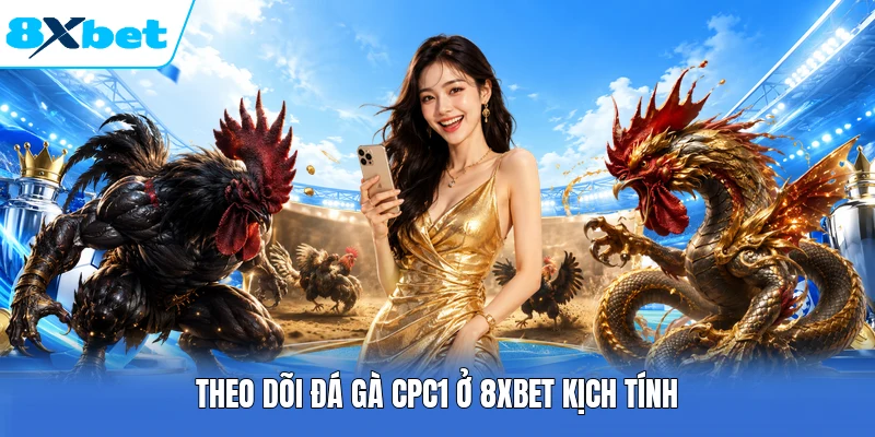 Theo dõi đá gà CPC1 ở 8XBET kịch tính