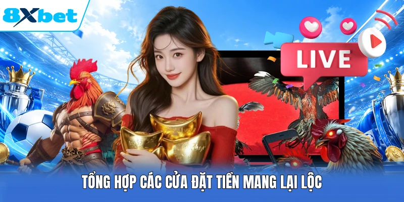Tổng hợp các cửa đặt tiền mang lại lộc