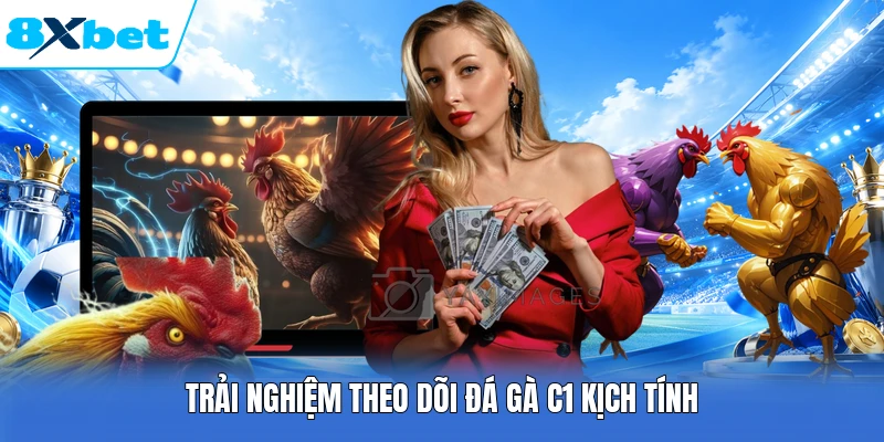 Trải nghiệm theo dõi đá gà C1 kịch tính
